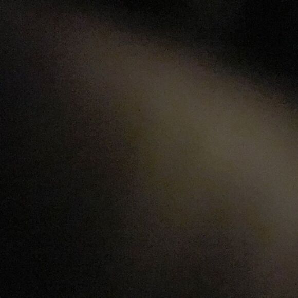 8x4 betsey johnson zip around long wallet/ guc rosebud/roses print silver bling - Picture 10 of 11